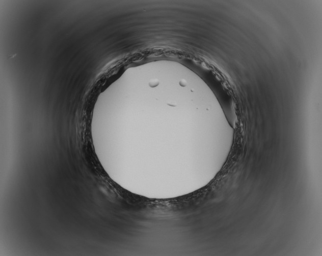 X0000086740968200705111631