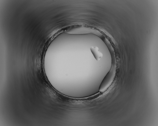 X0000086740969200705111631