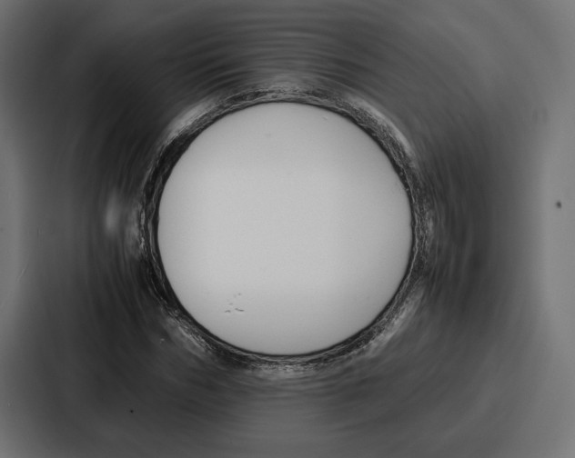 X0000086740970200705111631