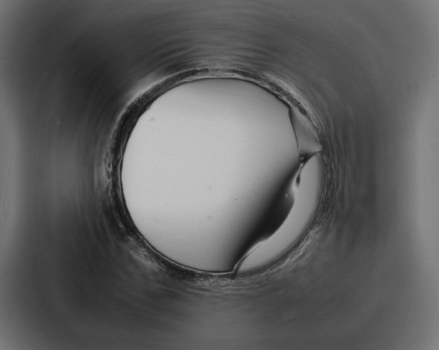 X0000086740971200705111631