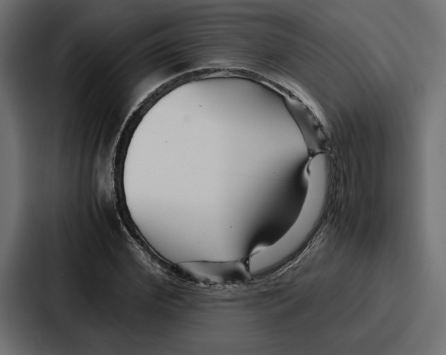 X0000086740972200705111631