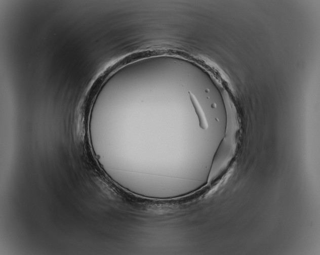 X0000086740973200705111631