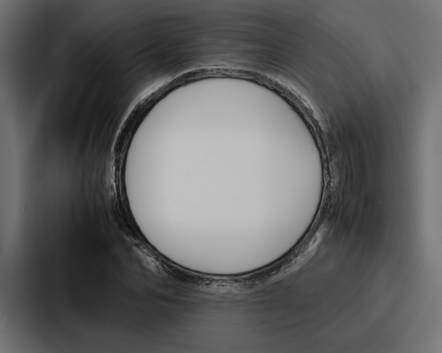 X0000086740974200705111631