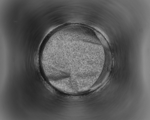 X0000086740976200705111631