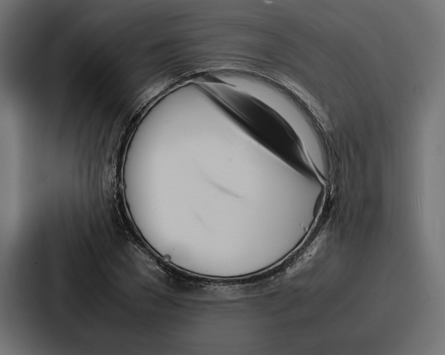 X0000086740977200705111631