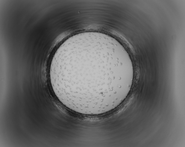 X0000086740978200705111631