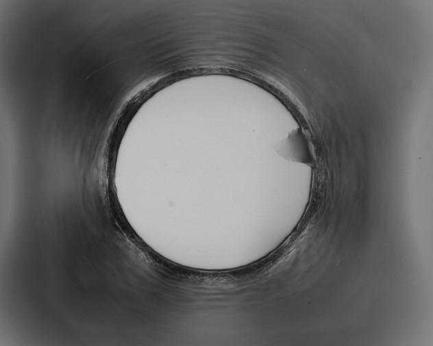 X0000086740979200705111631