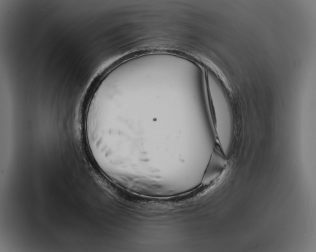 X0000086740981200705111631