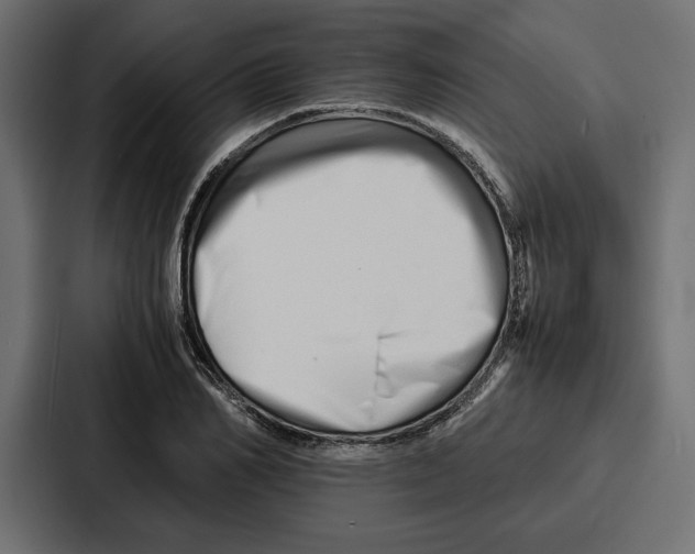 X0000086740982200705111631