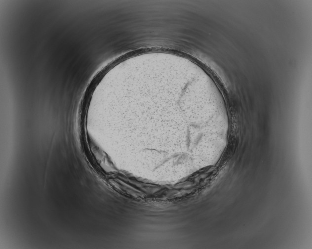 X0000086740983200705111631