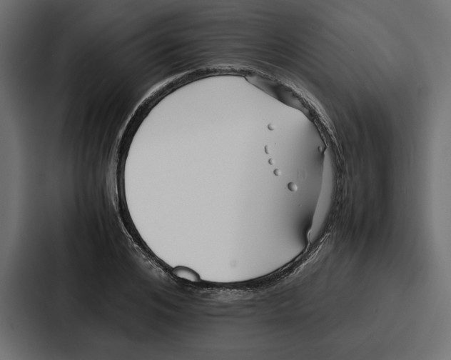 X0000086740984200705111631