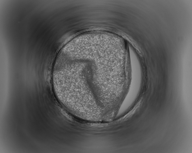 X0000086740985200705111631