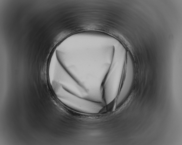 X0000086740986200705111631