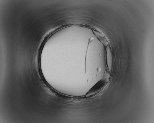 X0000086740987200705111631