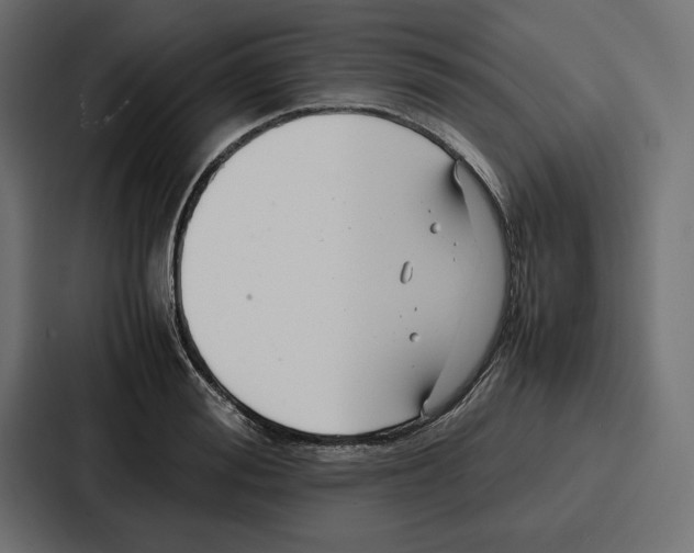 X0000086740988200705111631