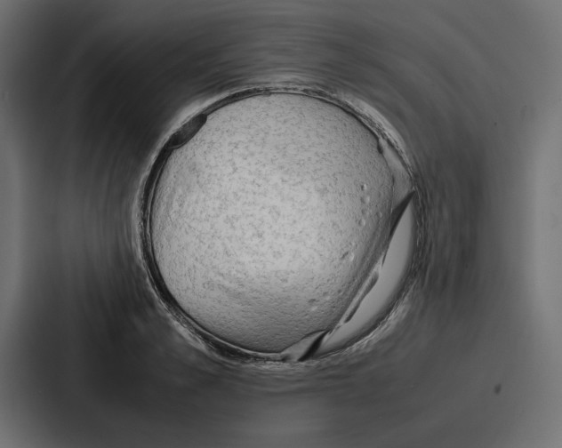 X0000086740989200705111631