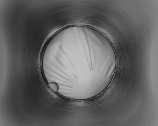 X0000086740990200705111631