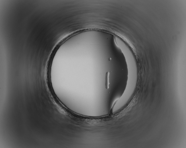 X0000086740991200705111631