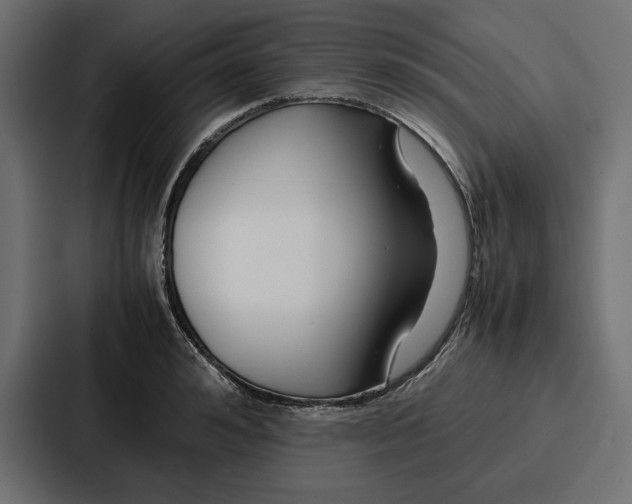 X0000086740992200705111631