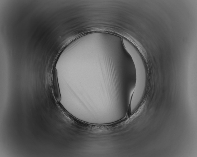 X0000086740993200705111631