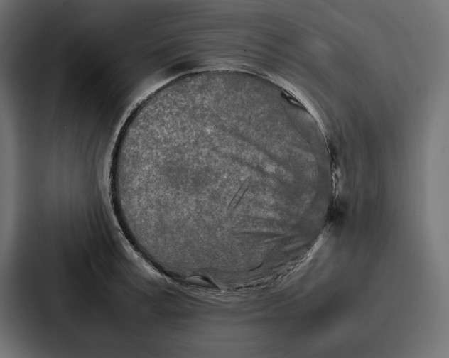 X0000086740995200705111631