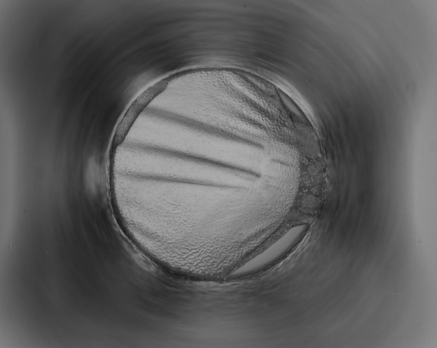 X0000086740996200705111631