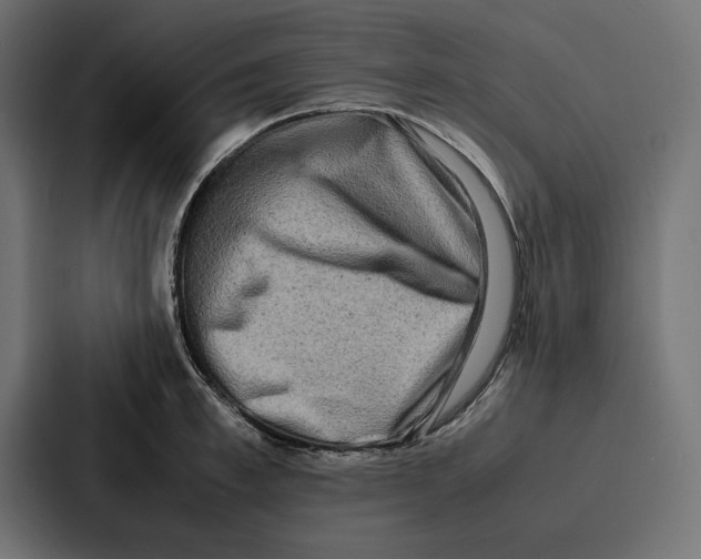 X0000086740997200705111631