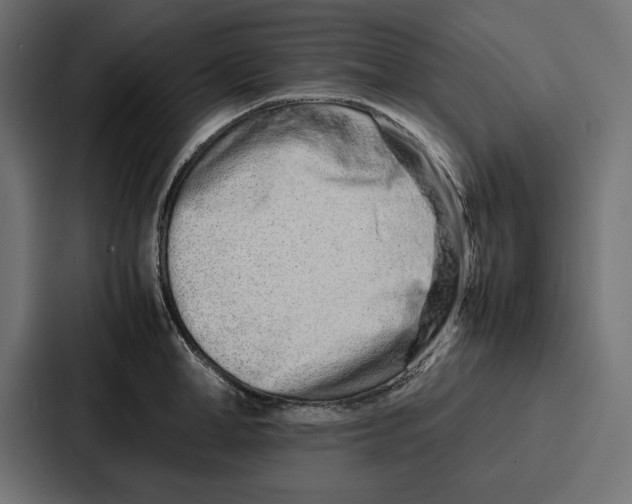 X0000086740998200705111631