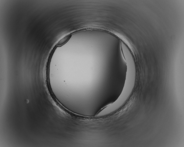 X0000086740999200705111631