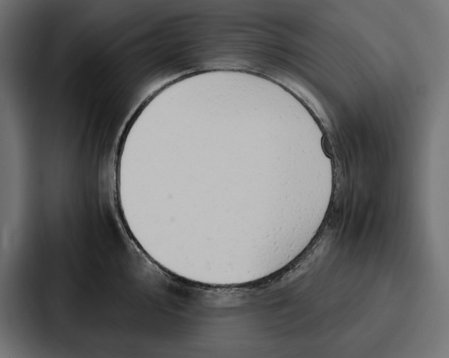 X0000086741000200705111631