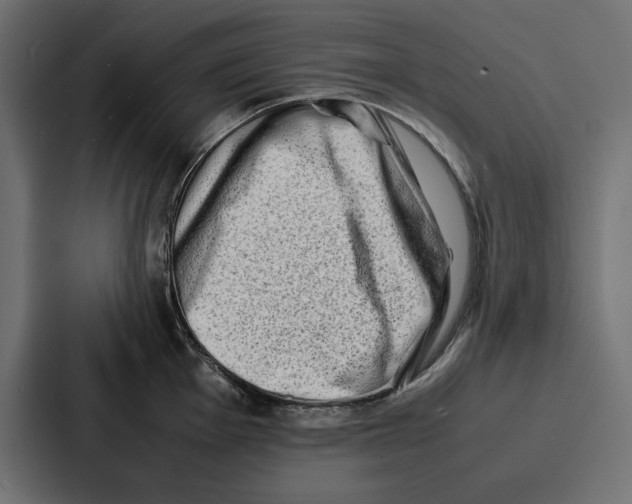 X0000086741001200705111631