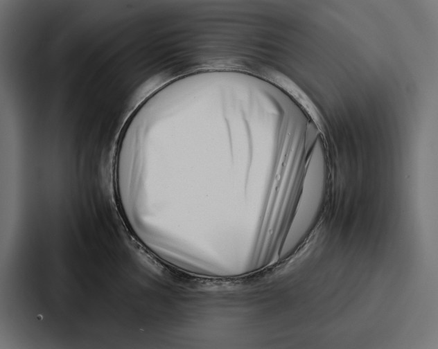 X0000086741002200705111631