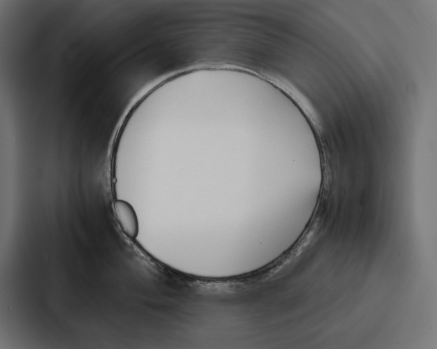 X0000086741004200705111631