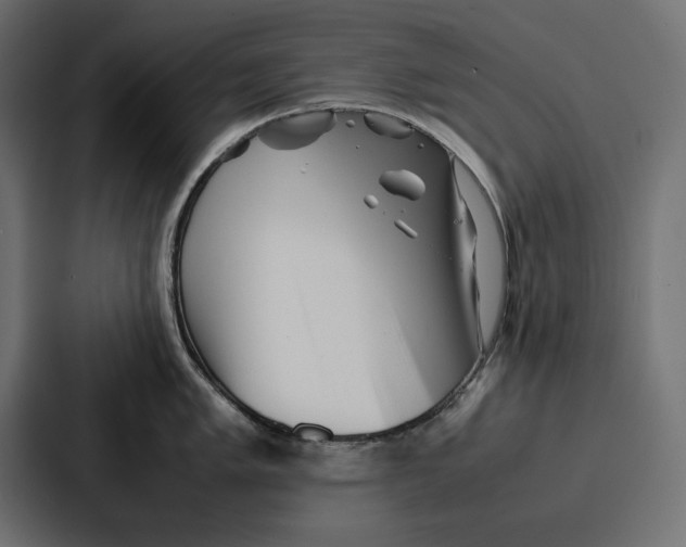 X0000086741005200705111631