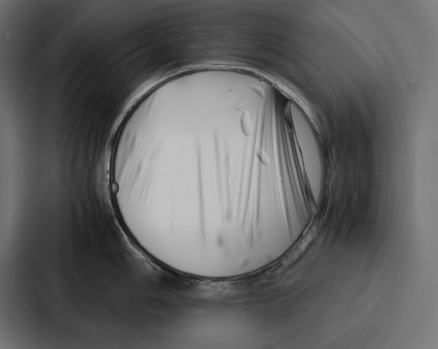 X0000086741006200705111631