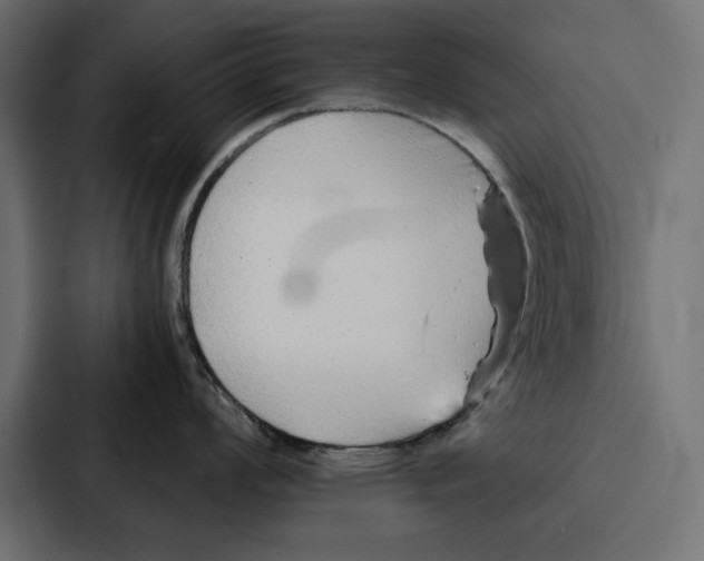 X0000086741008200705111631