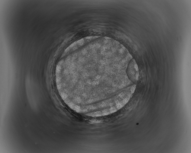 X0000086741009200705111630