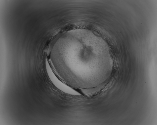 X0000086741010200705111630