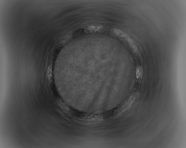 X0000086741011200705111630