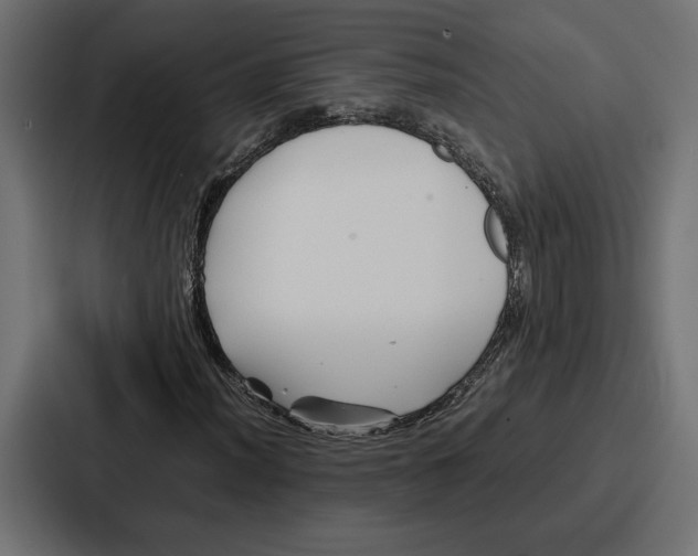 X0000086741012200705111630