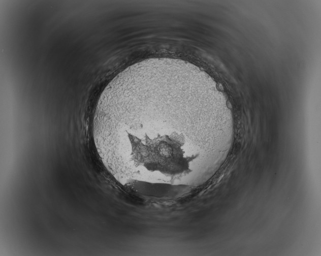 X0000086741013200705111630