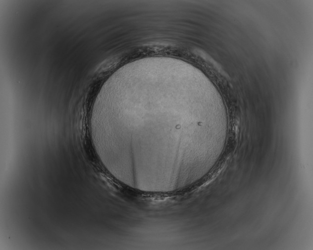 X0000086741014200705111630