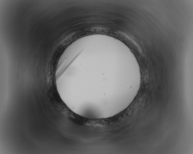 X0000086741015200705111630