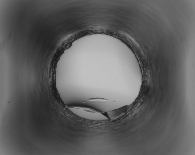 X0000086741016200705111630