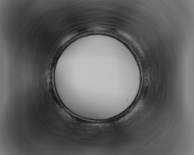 X0000086741017200705111630