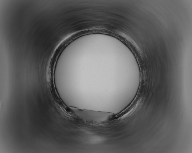 X0000086741021200705111631