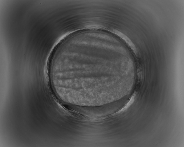 X0000086741022200705111631