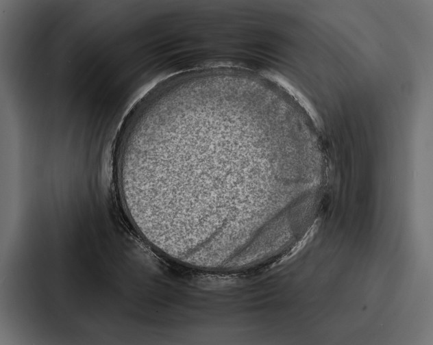 X0000086741023200705111631