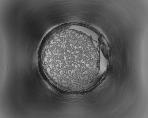 X0000086741024200705111631