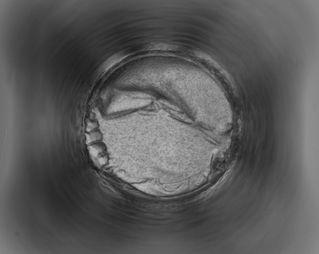 X0000086741025200705111631